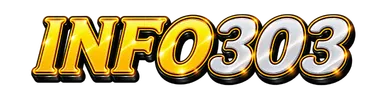 INFO303